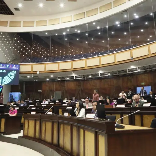 Asamblea aprueba informe sobre matrículas ilegales y plantea reforma urgente
