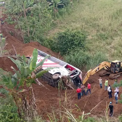 Accidente de Reina del Camino: Este es el listado oficial de los heridos tras siniestro en El Carmen
