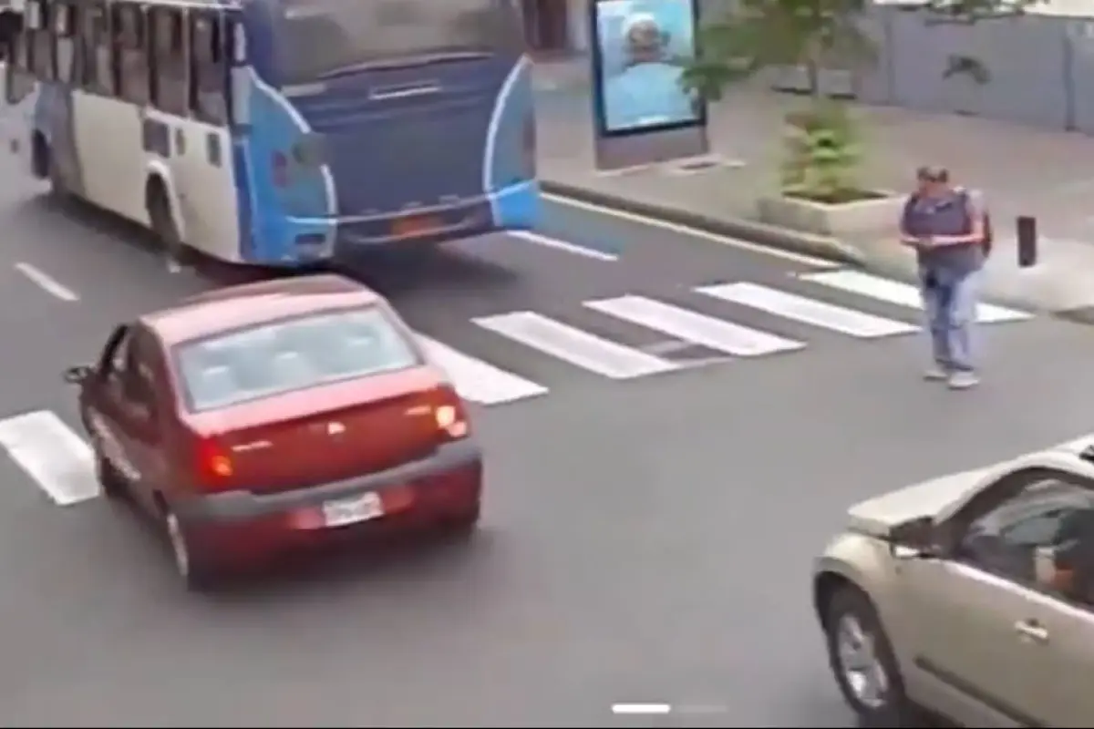 bus 