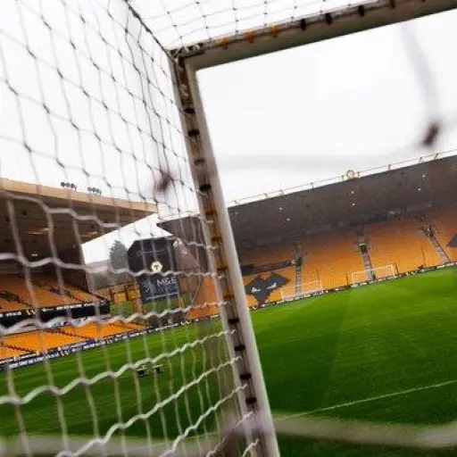 Patrik Mercado se salvó del descenso con el Wolverhampton Wanderers