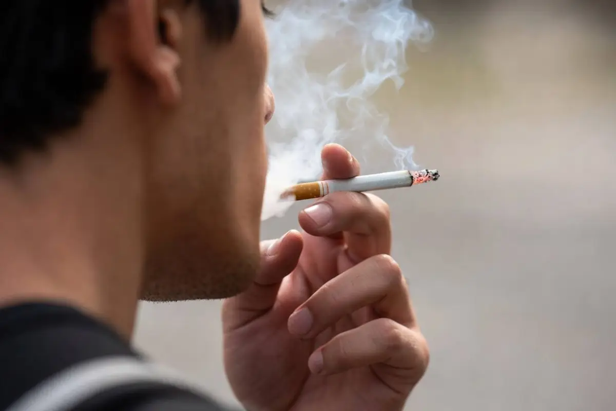 tabaco