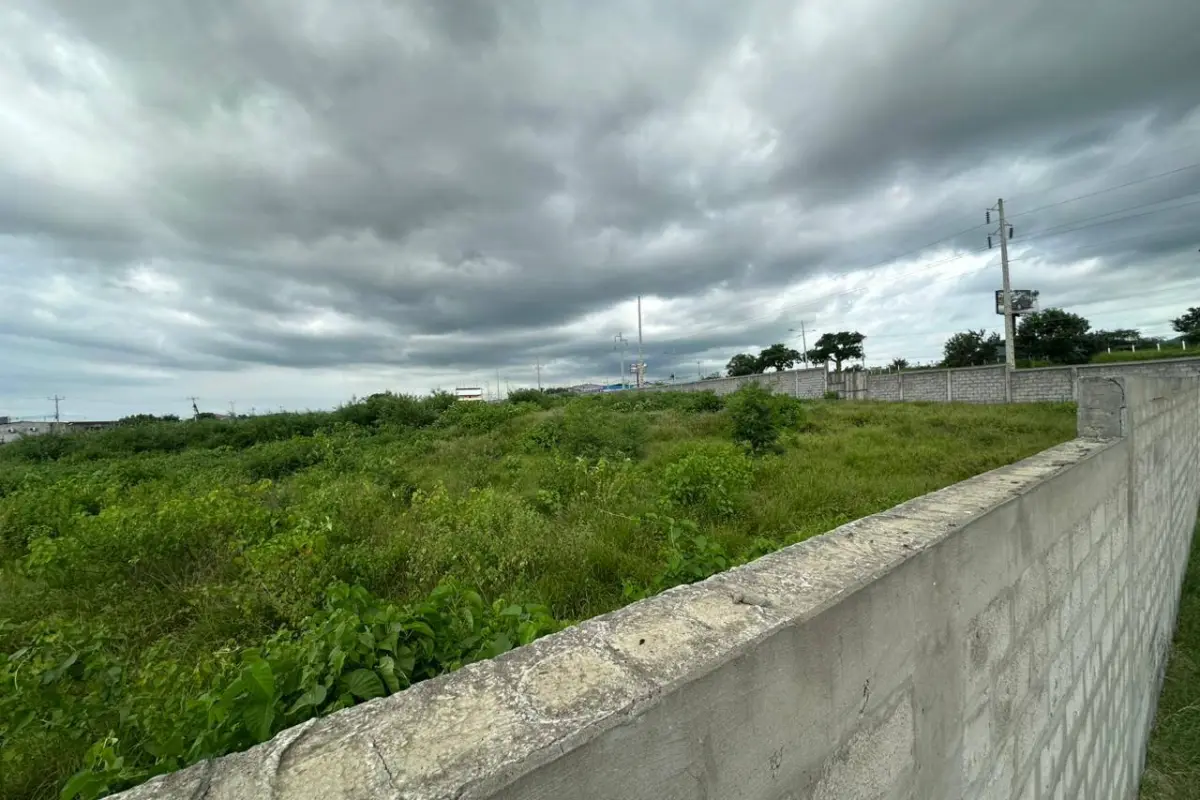 MONTECRISTI