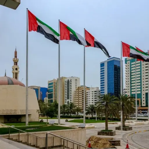 En medio de tensiones por el cierre del estrecho de Ormuz, Emiratos Árabes Unidos anuncia su salida de la OPEP