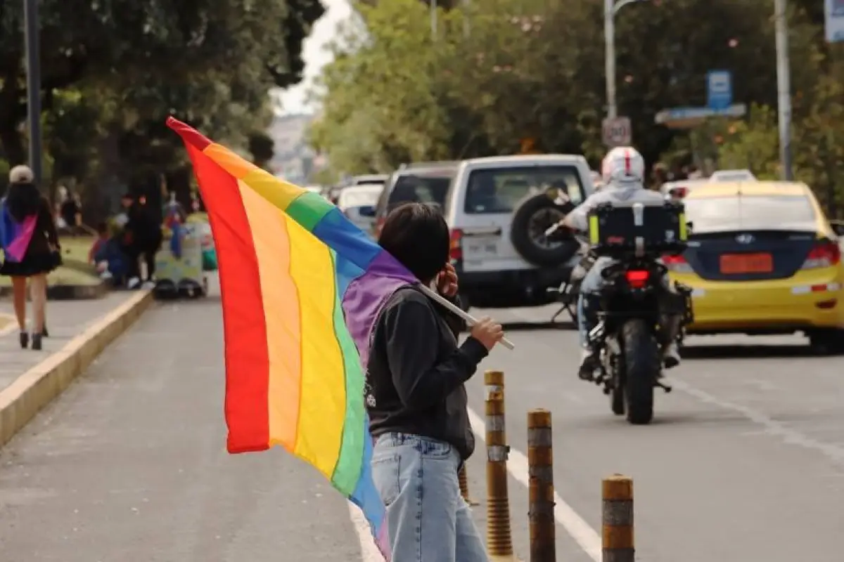 Según el INEC, se estima que hay 380.263 personas LGBTI+ en el país., El Diario.