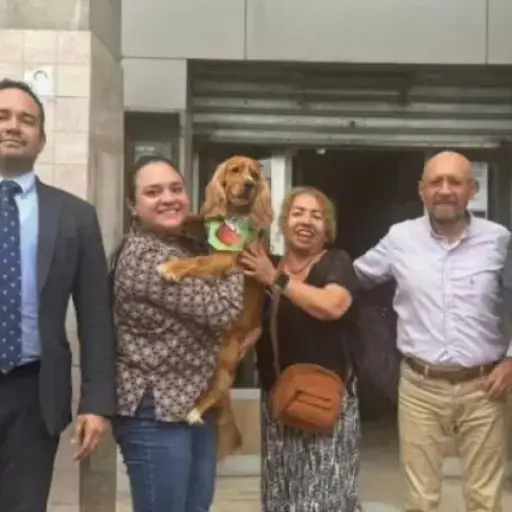 “Capuccino” volverá con su familia en un caso que marca un precedente judicial sobre derechos animales en Ecuador