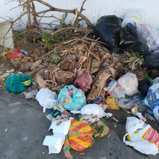 Retraso en rutas y vehículos: Carlos Pacheco detalla los desafíos del servicio de limpieza en Manta