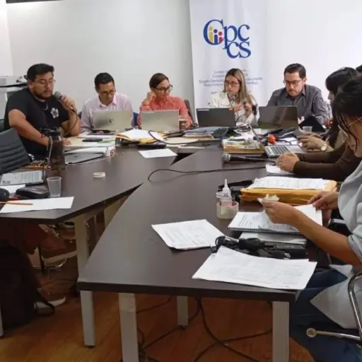 Renuncia en el Cpccs: coordinadora del concurso de Fiscal General deja el cargo por alta carga laboral