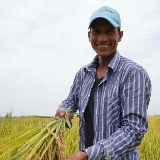 Gobierno de Daniel Noboa amplía compra de arroz y habilita nuevo centro
