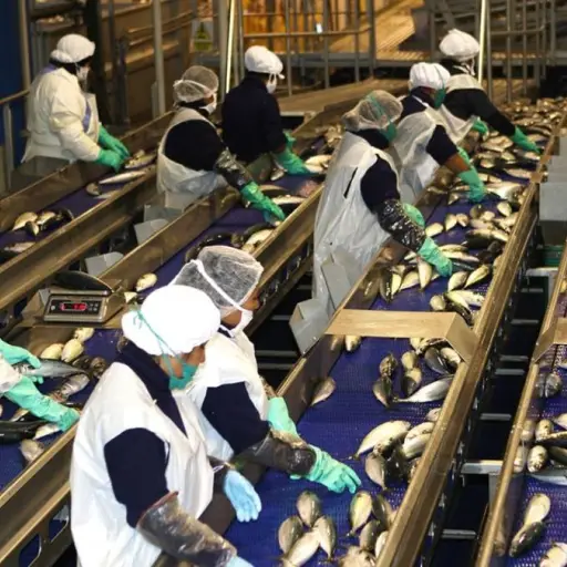 Se amplia la protección legal para los trabajadores en Ecuador, ¿de qué se trata?