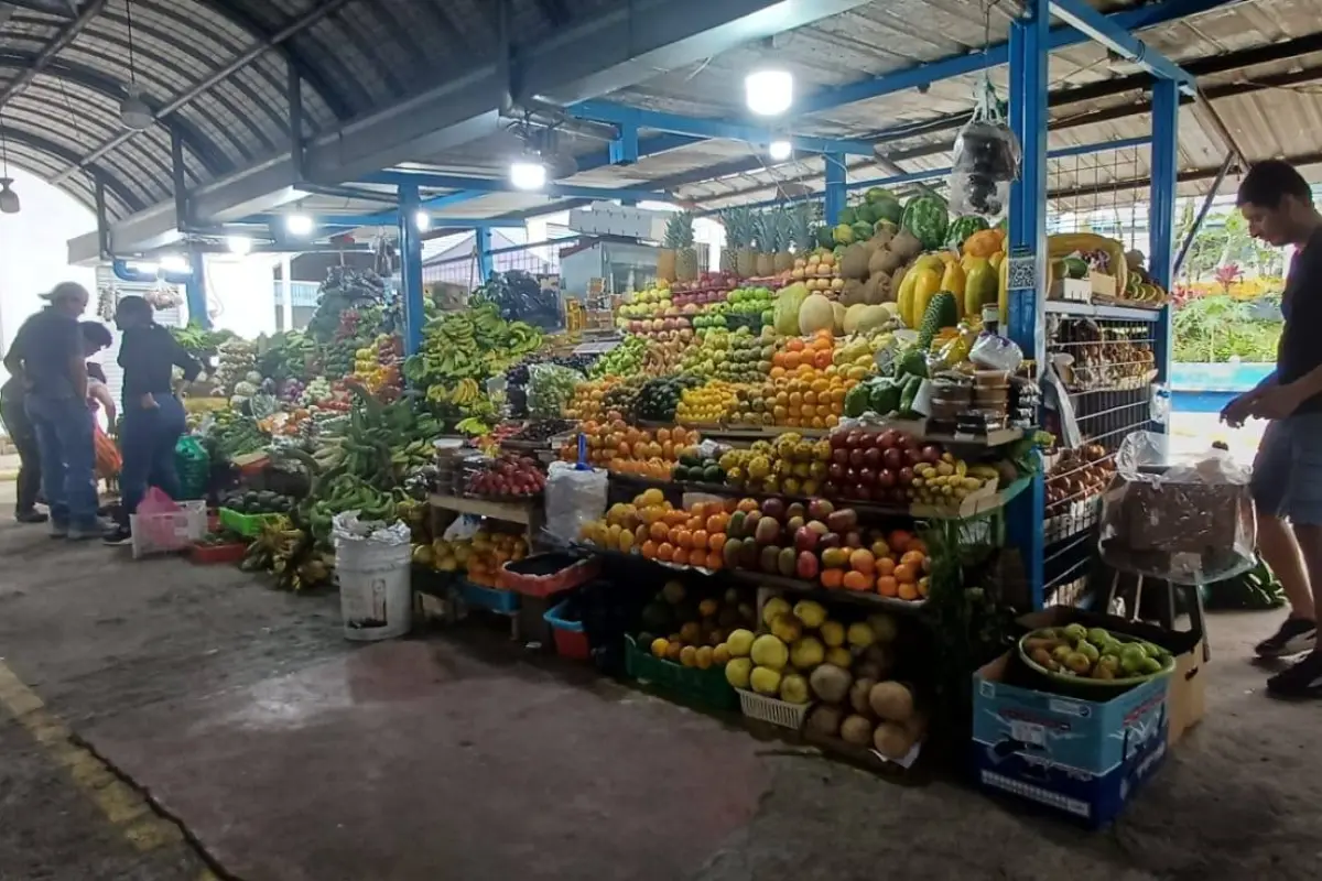 UNE alerta que el alza de combustibles golpeará transporte, alimentos y canasta básica en Ecuador