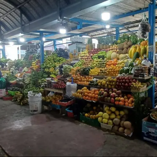 UNE alerta que el alza de combustibles golpeará transporte, alimentos y canasta básica en Ecuador