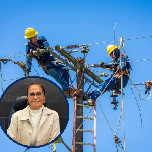 ¿Quién es la nueva gerente subrogante de CNEL EP? Jenny Desiderio asume el cargo