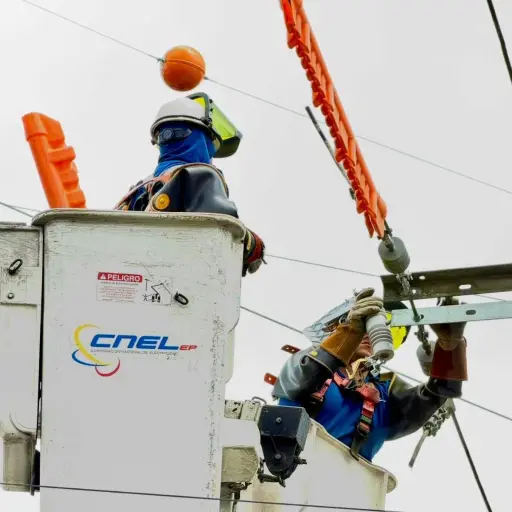 El sector industrial impulsa el crecimiento del consumo eléctrico en Santo Domingo de los Tsáchilas 