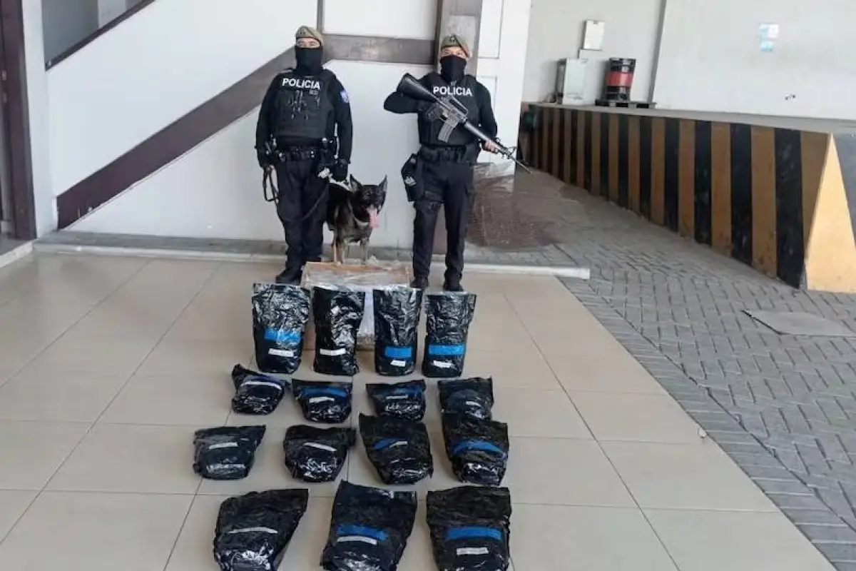 La Policía encontró la marihuana dentro de fundas de color negro que tenían un logotipo comercial., Foto: Policía Nacional