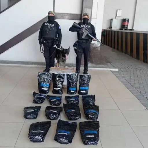 Policía Nacional incautó 15 mil dosis de marihuana en la terminal terrestre de Manta