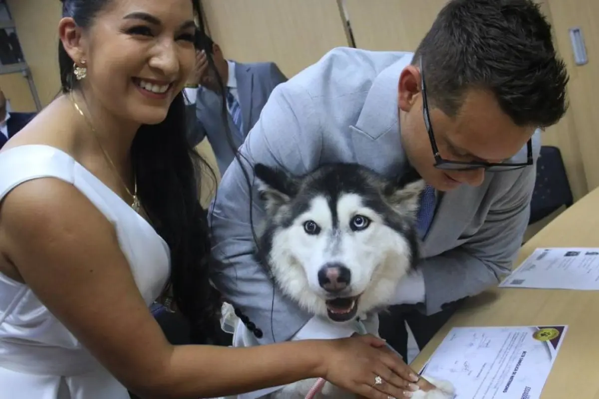 ¿Tu mascota como testigo de boda? Conoce el nuevo servicio del Registro Civil que es tendencia en Ecuador.
