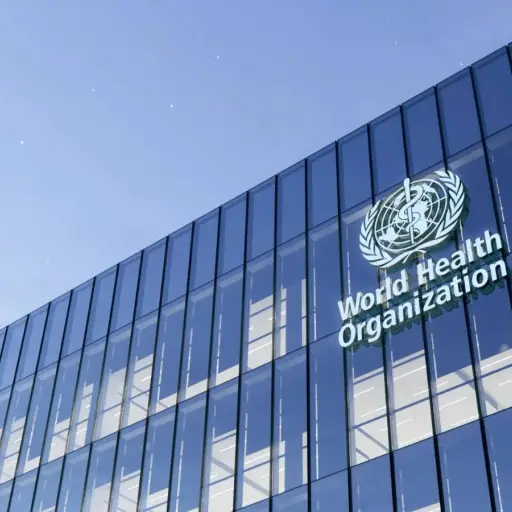La Organización Mundial de la Salud advierte que se podrían registrar más casos de hantavirus tras el brote en un crucero