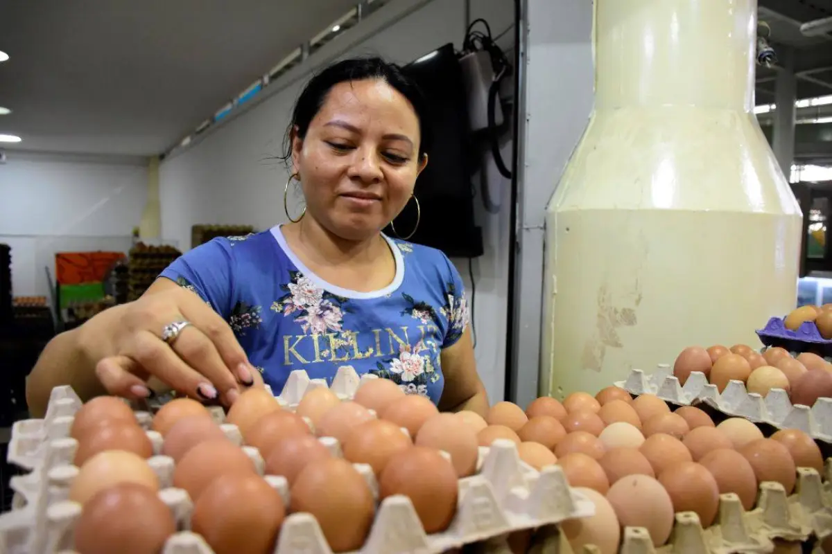 HUEVOS