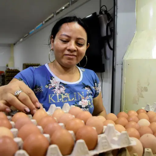 Precio del huevo podría subir por menor oferta en el mercado y costos de producción