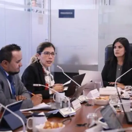 Borbón avanza hacia la cantonización con respaldo de la AME