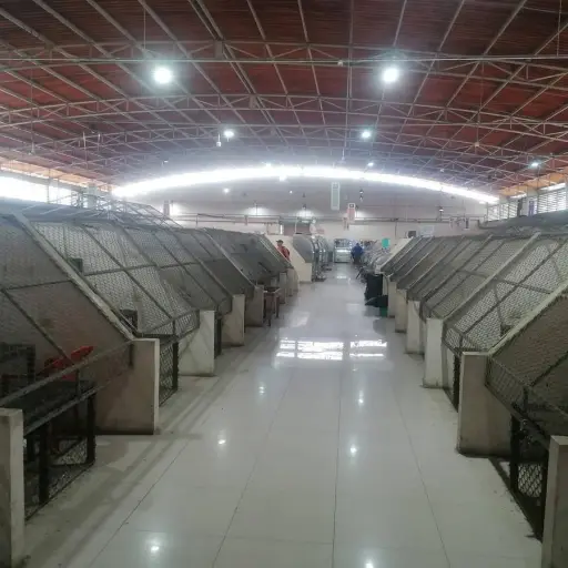 Comerciantes sufren por las bajas ventas en el mercado de Rocafuerte