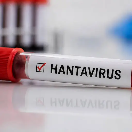 Autoridades sanitarias investigan expansión del hantavirus tras casos en crucero internacional