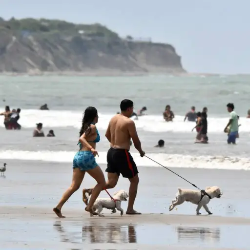 Feriado en Ecuador 2026: el país se prepara para uno de los descansos del año por la Batalla de Pichincha
