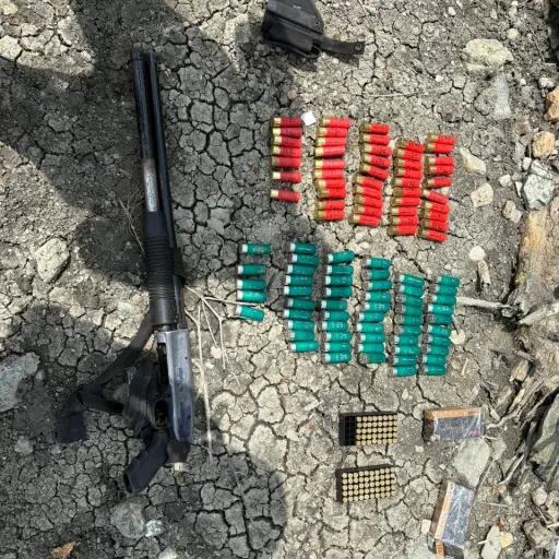 Decomisan armas de fuego y munición en operativo en Arenillas, El Oro  