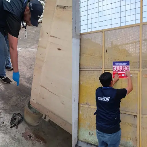 Arcsa clausura una piladora de arroz en Daule por hallar palomas muertas, heces y maquinaria sucia