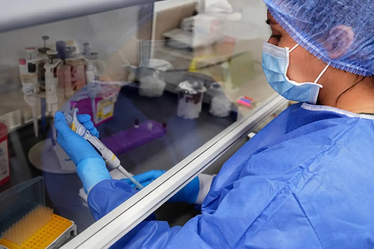 Hantavirus Ecuador mantiene vigilancia epidemiológica y descarta casos hasta la fecha