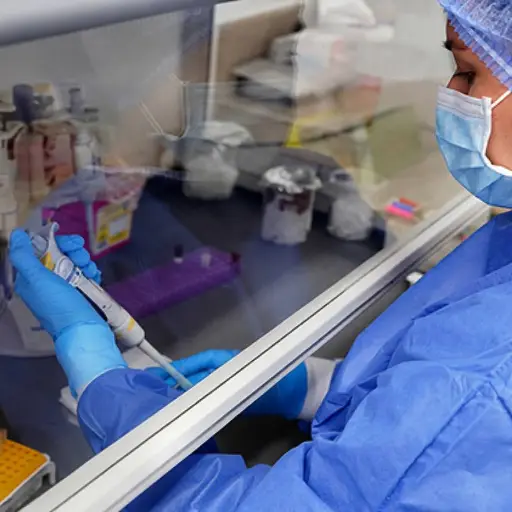 Hantavirus: Ecuador mantiene vigilancia epidemiológica y descarta casos hasta la fecha
