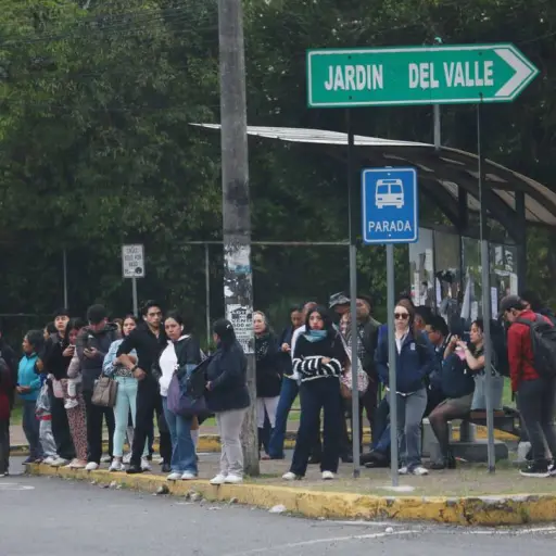Crisis de transporte en Quito: largas filas y caos golpean a usuarios