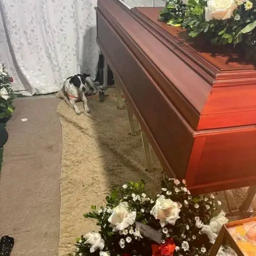 “Manchas” acompañó hasta el final a Wilson Vega tras violento ataque en El Carmen