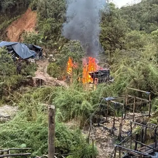 Operativo militar contra la minería ilegal inhabilita 67 campamentos en el Parque Nacional Podocarpus
