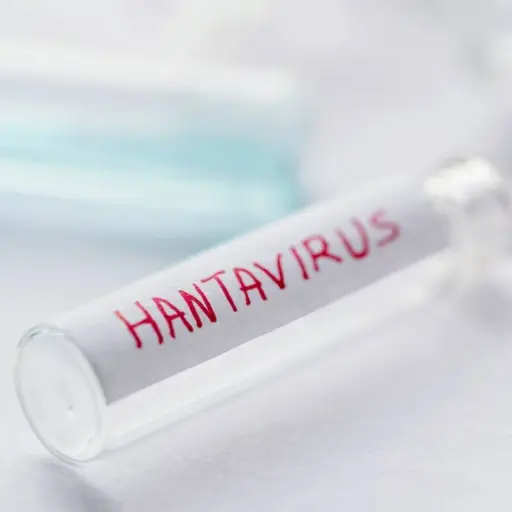 Incrementan los aislamientos por hantavirus: España activa protocolos sanitarios por sospecha de una mujer tras viaje internacional 
