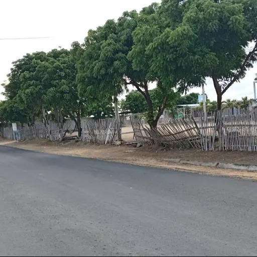 Autogestión para garantizar la seguridad de los niños de la UE Gregorio Marañón, en La Travesía