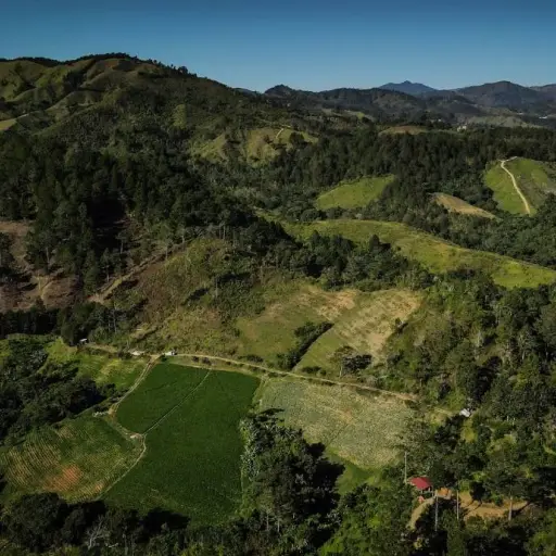 El milagro verde de República Dominicana: restauran una quinta parte de sus tierras degradadas