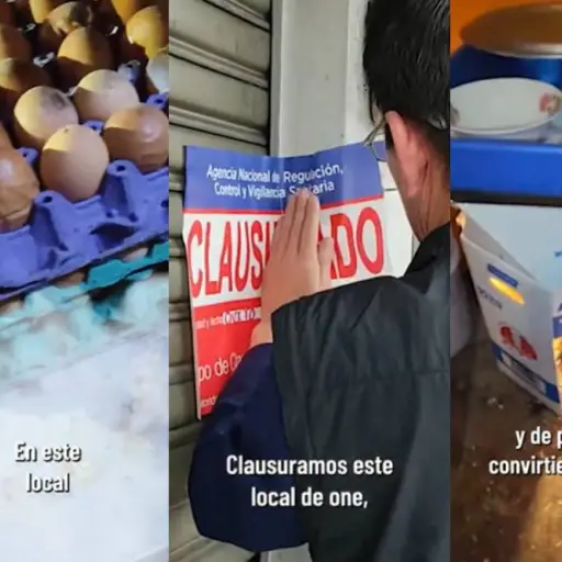 Pollitos, suciedad y heces: así fue la clausura de una panadería en Quito