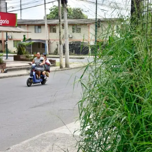¿Tiene un solar montoso? En Portoviejo el descuido le puede costar hasta cinco salarios básicos
