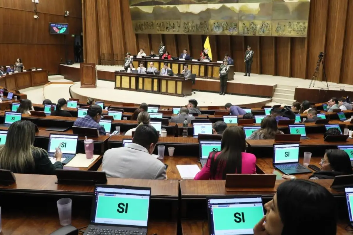 El CAL califica 14 nuevos proyectos de ley y los distribuye en comisiones de la Asamblea Nacional.