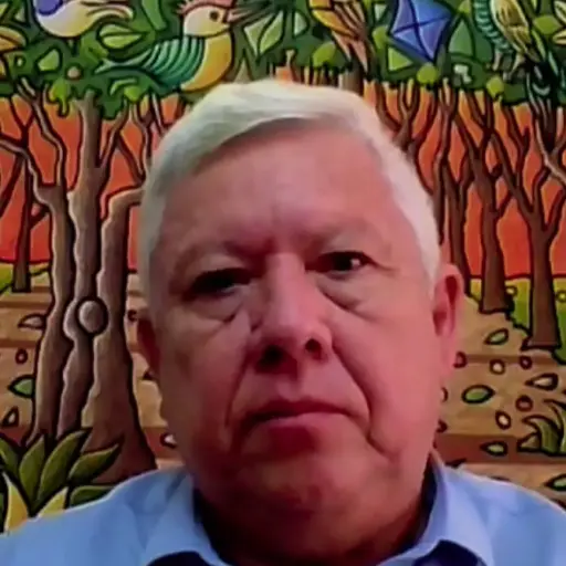 “El Seguro Social sigue siendo el gran financista del Estado,” señala el exministro de economía, Fausto Ortiz