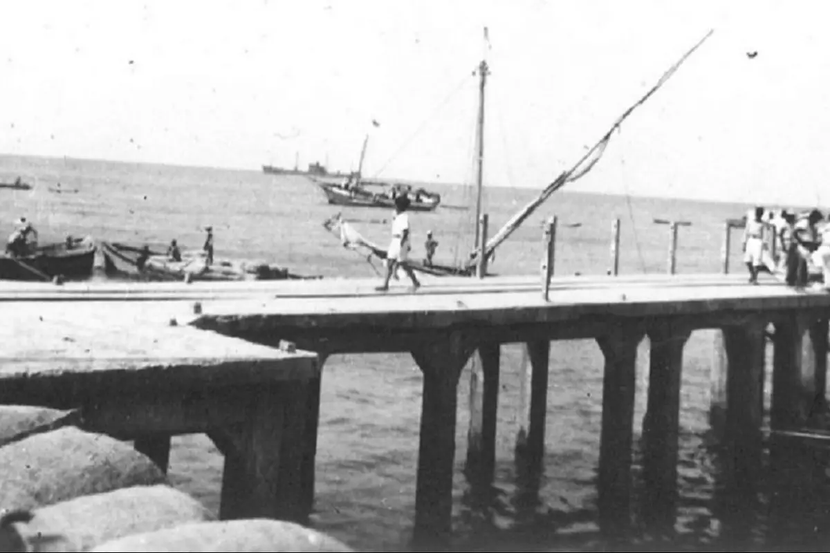 Manta