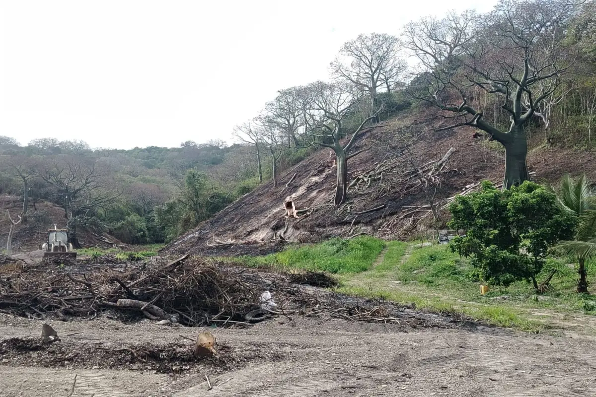 Deforestación en La Tomatera reserva ecológica de Portoviejo Manabí