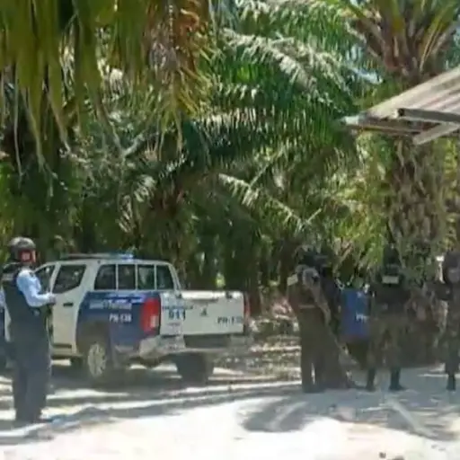 Terror en Honduras: Hombres vestidos de policías asesinaron a 19 personas en una finca de palma africana