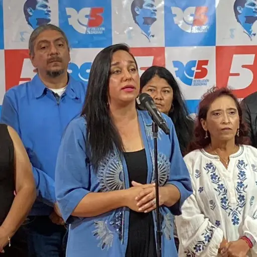 Revolución Ciudadana pide levantar reserva de investigación contra Rafael Correa y revocar su suspensión