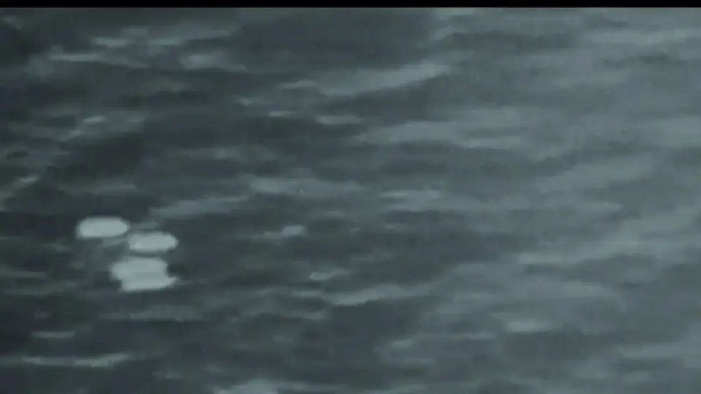Foto embed