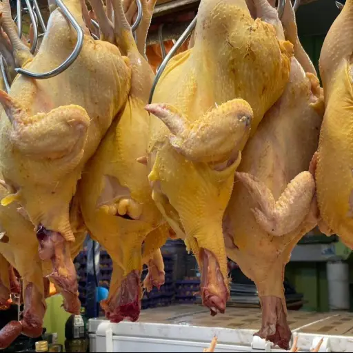 La advertencia del Municipio sobre comida callejera y leptospirosis en Santo Domingo 