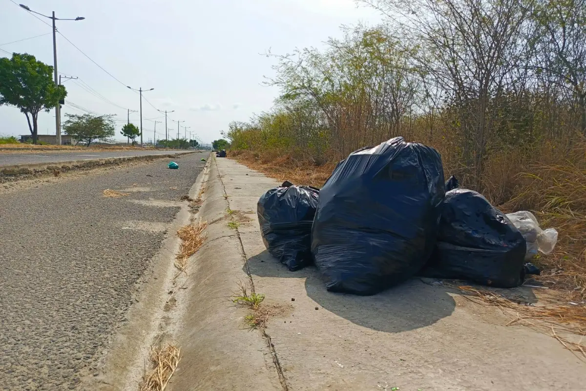 Ciudadanos esperan camión recolector tras limpieza en parterre y vía principal a Sí Vivienda., El Diario
