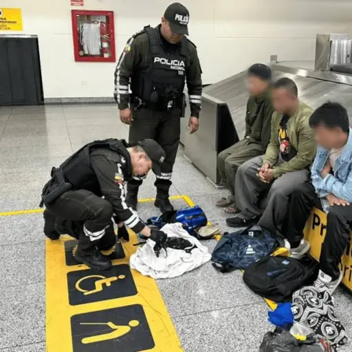 Dictan prisión preventiva para tres extranjeros por presunto tráfico ilegal de iguanas marinas de Galápagos
