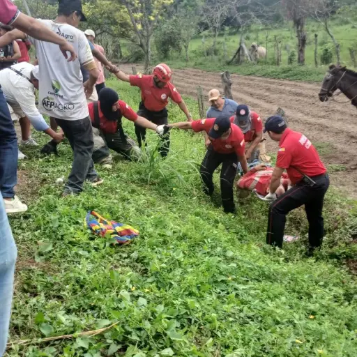 Estaba herido y unas vacas lo encontraron: la impactante historia del rescate de un motociclista accidentado en Chone